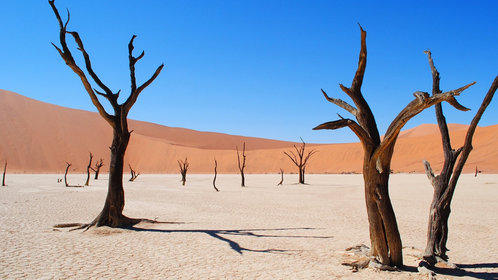 Découvrez les trésors de la Namibie