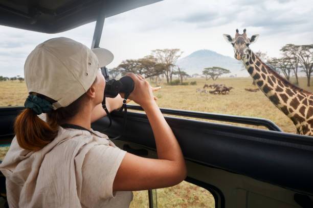 voyage safari sur mesure, découverte faune africaine