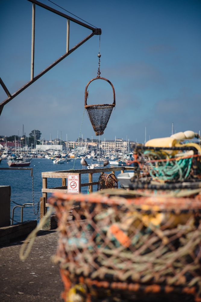 image port de peche