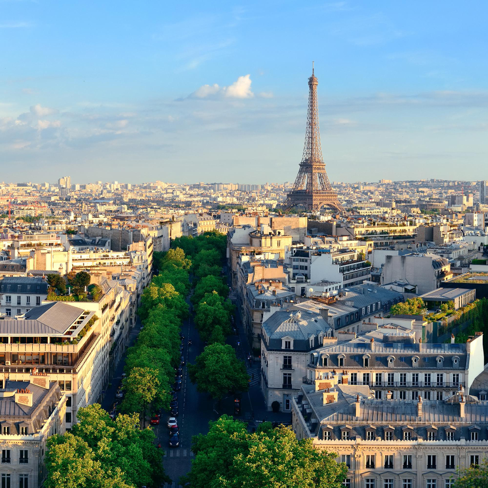 vue aéienne de paris